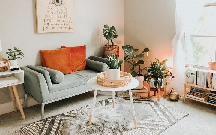 salon-con-plantas