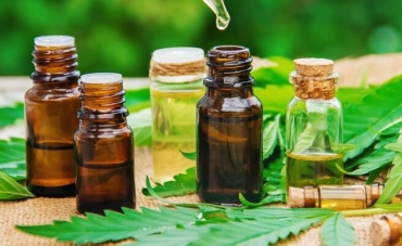 Todo lo que necesitas saber sobre CBDax – Análisis de una compañía de CBD