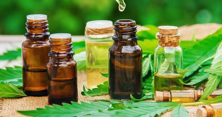 Todo lo que necesitas saber sobre CBDax – Análisis de una compañía de CBD