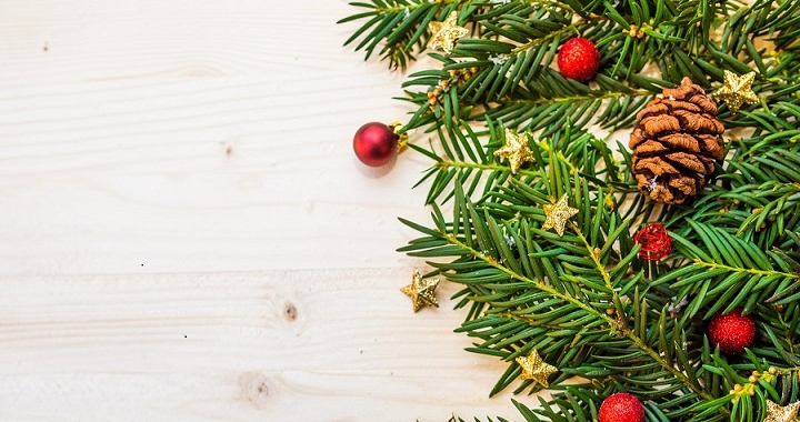Decoración de árboles de Navidad con ideas para inspirarte