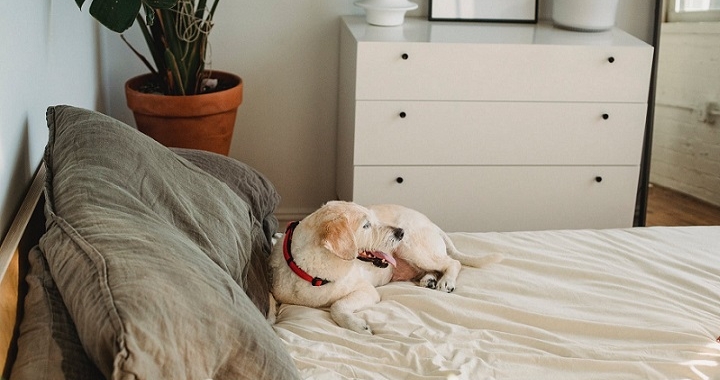 Cómo elegir los colores para decorar el dormitorio en invierno